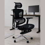 ERGOWAVE S2 Ergonomic Office Chair