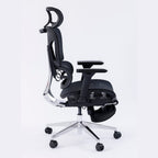 ERGOWAVE S1 Ergonomic Office Chair