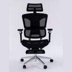 ERGOWAVE S2 Ergonomic Office Chair