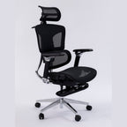 ERGOWAVE S2 Ergonomic Office Chair