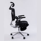 ERGOWAVE S2 Ergonomic Office Chair