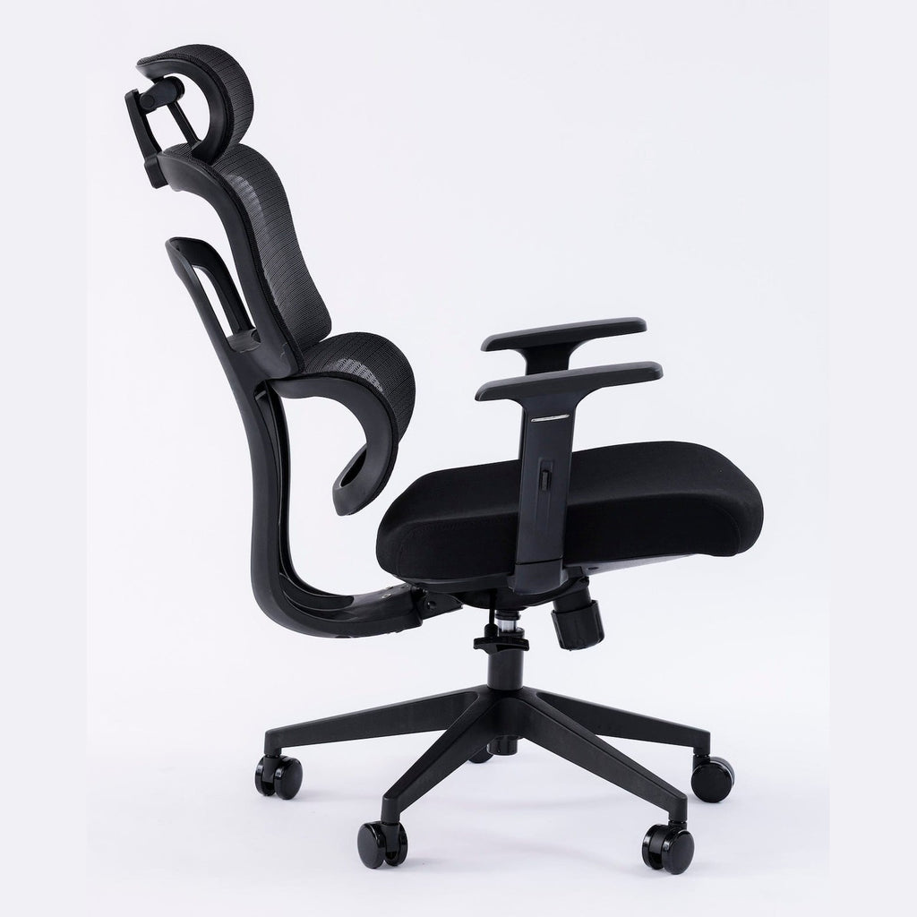 ERGOWAVE Mesh Ergonomic Office Chair