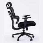 ERGOWAVE Mesh Ergonomic Office Chair