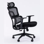 ERGOWAVE Mesh Ergonomic Office Chair