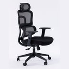 ERGOWAVE Mesh Ergonomic Office Chair