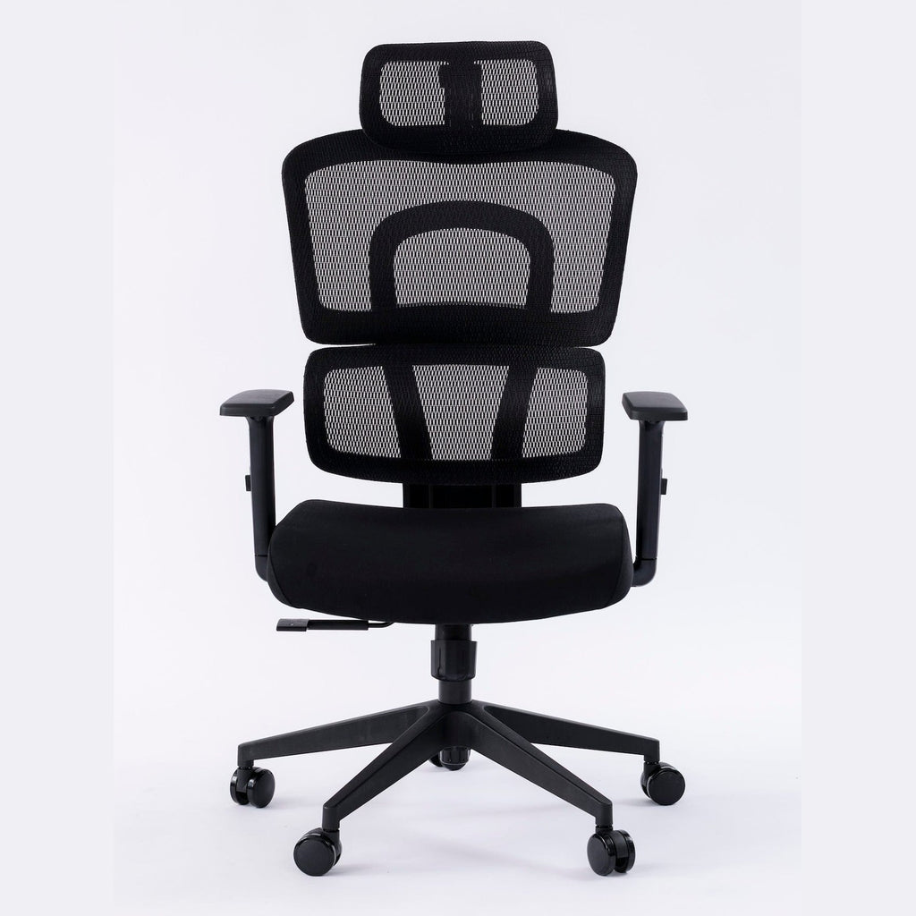 ERGOWAVE Mesh Ergonomic Office Chair