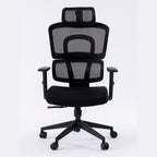 ERGOWAVE Mesh Ergonomic Office Chair