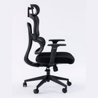 ERGOWAVE Mesh Ergonomic Office Chair