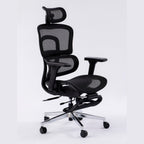 ERGOWAVE V2 Ergonomic Office Chair