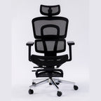 ERGOWAVE V2 Ergonomic Office Chair