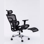 ERGOWAVE V2 Ergonomic Office Chair