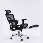 ERGOWAVE V2 Ergonomic Office Chair