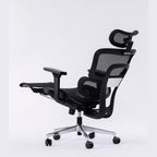 ERGOWAVE V2 Ergonomic Office Chair