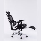 ERGOWAVE V2 Ergonomic Office Chair