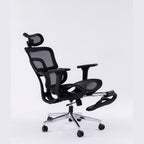 ERGOWAVE V2 Ergonomic Office Chair