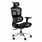 ERGOWAVE V2 Ergonomic Office Chair