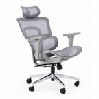 ERGOWAVE V2 Ergonomic Office Chair
