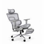 ERGOWAVE V2 Ergonomic Office Chair